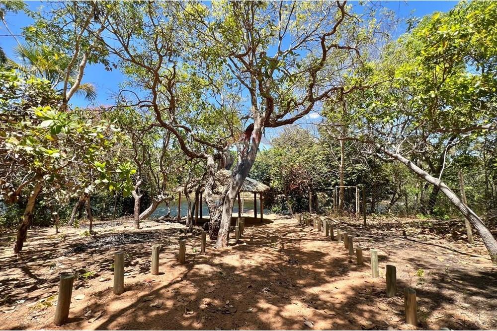 Chácara / Sítio / Fazenda - Venda - Barreiras , Bahia - WhatsApp Image 2025-10-07 at 09.08.47.jpeg - 580651020-137