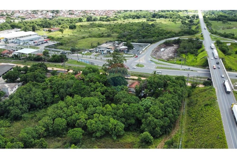 Chácara / Sítio / Fazenda - Venda - Alagoinhas , Bahia - IMG_3145.JPG - 580701051-4