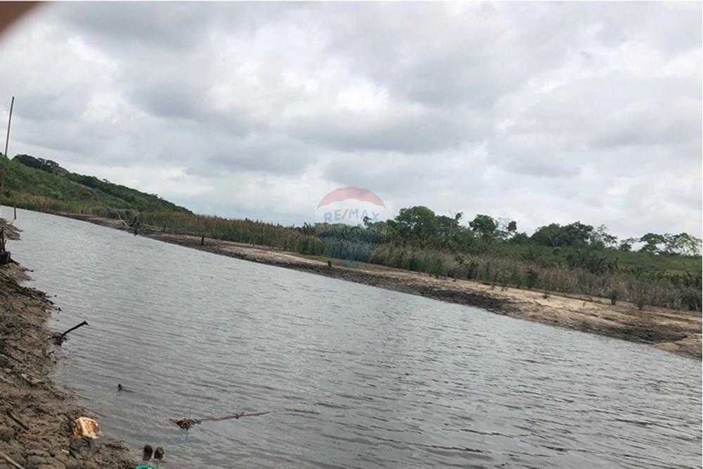 Chácara / Sítio / Fazenda - Venda - Vitória da Conquista , Bahia - WhatsApp Image 2025-05-29 at 14.13.46.jpeg - 580831002-80