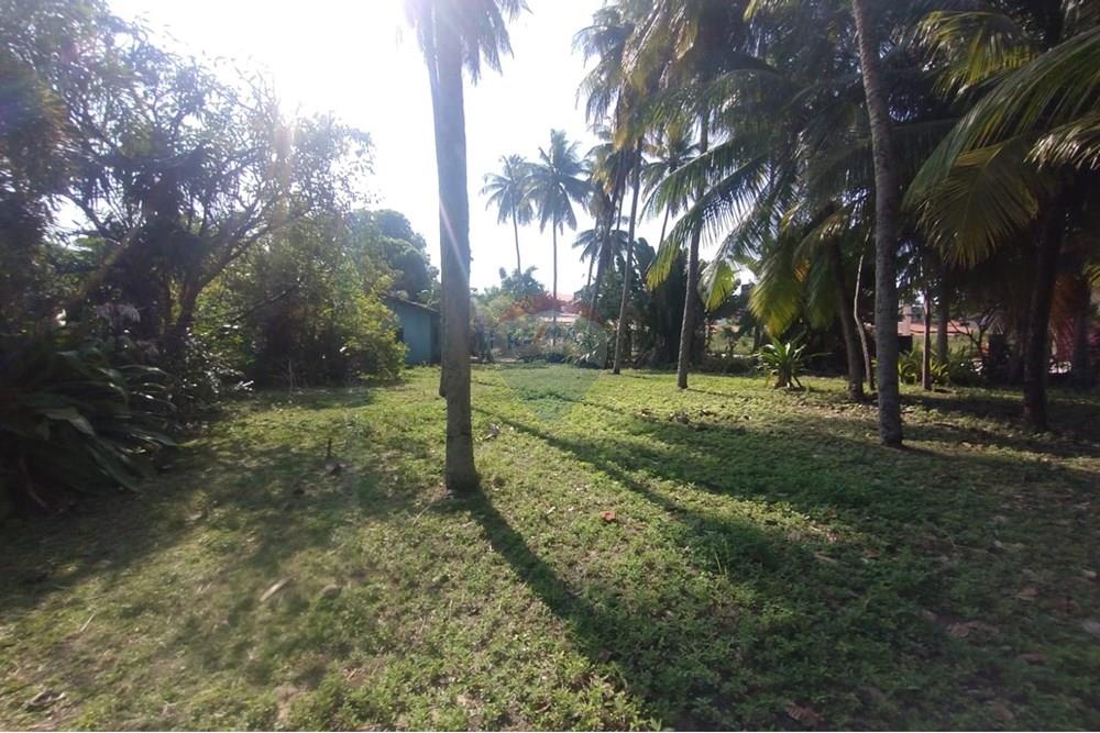 Terreno - Venda - Vera Cruz , Bahia - WhatsApp Image 2024-11-23 at 06.42.41 (3).jpeg - 580401026-39