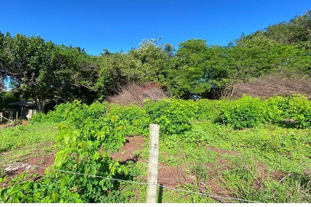 Terreno - Venda - Mata de São João , Bahia - 4df22613-4821-4aef-a2e4-abdafa6b044f.jpg - 580601014-64