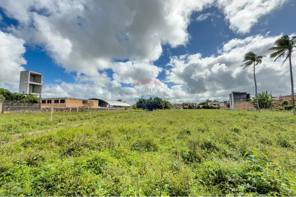 Terreno - Venda - Santo Antônio de Jesus , Bahia - WhatsApp Image 2025-08-09 at 07.29.40.jpeg - 580341012-144