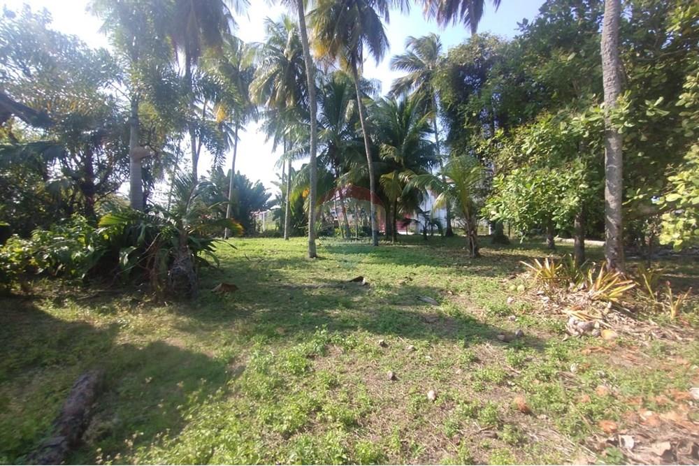 Terreno - Venda - Vera Cruz , Bahia - WhatsApp Image 2024-11-23 at 06.42.42.jpeg - 580401026-39