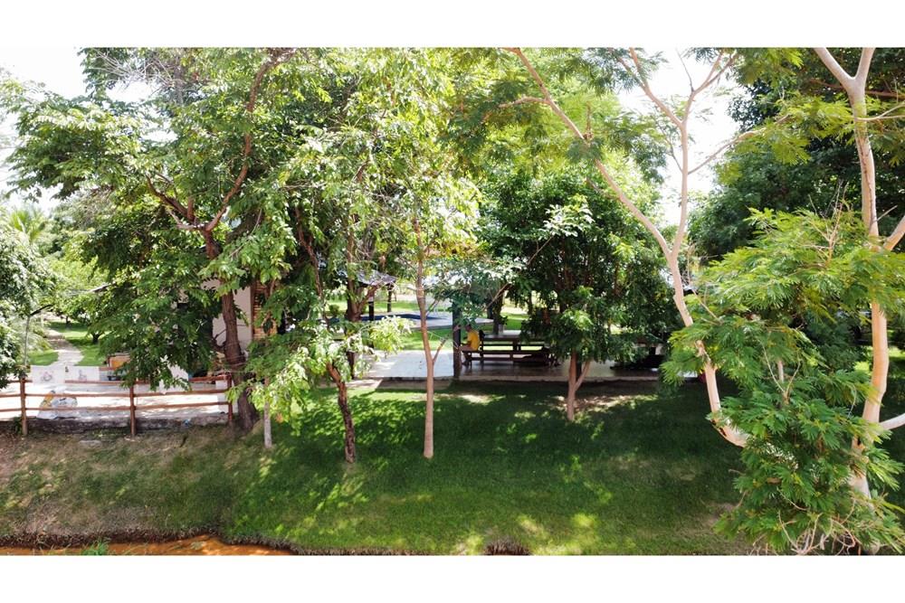 Chácara / Sítio / Fazenda - Venda - Barreiras , Bahia - WhatsApp Image 2025-01-08 at 15.09.39.jpeg - 580651020-100