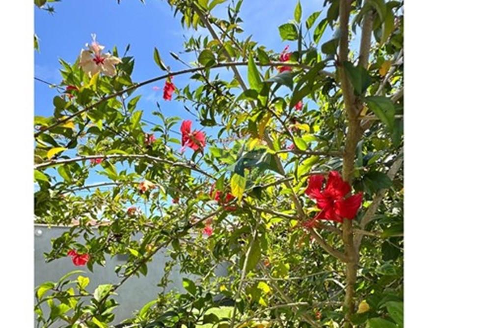 Casa - Venda - Alcobaça , Bahia - WhatsApp Image 2025-09-14 at 21.19.18 (11).jpeg - 580431021-172