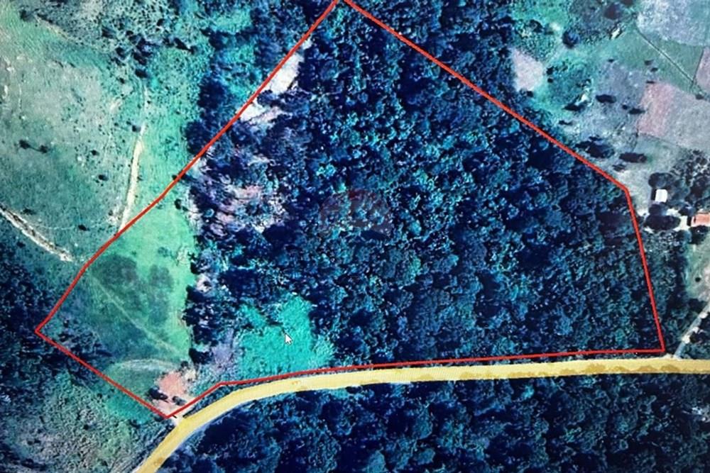 Chácara / Sítio / Fazenda - Venda - Itamaraju , Bahia - Imagem do WhatsApp de 2025-04-11 à(s) 16.09.46_36298b8c.jpg - 580751013-66