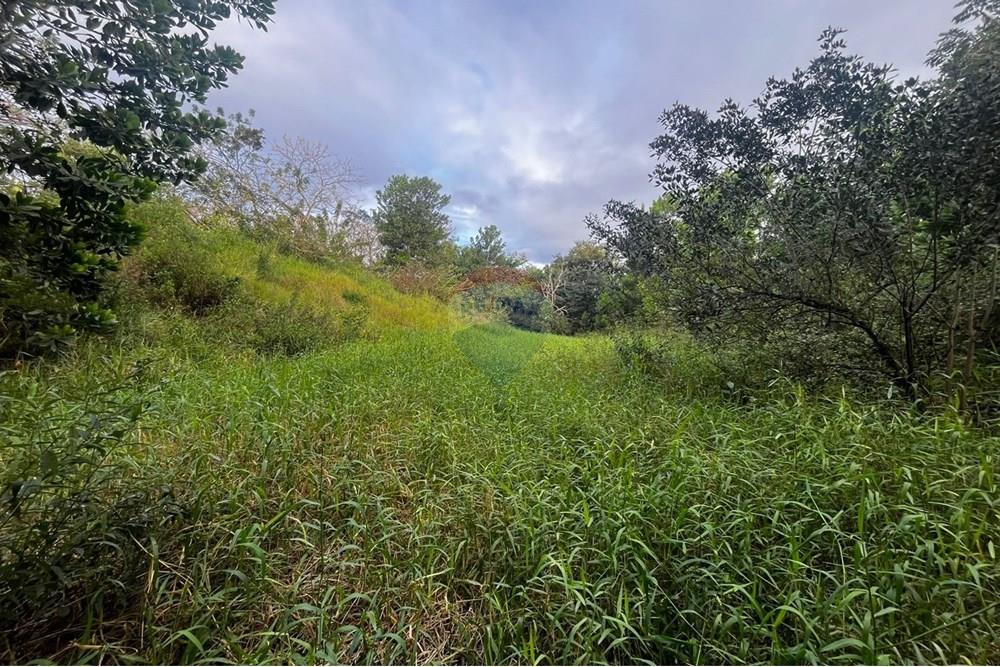 Chácara / Sítio / Fazenda - Venda - Prado , Bahia - Imagem do WhatsApp de 2025-08-25 à(s) 11.02.03_754f1d0c.jpg - 580751013-70