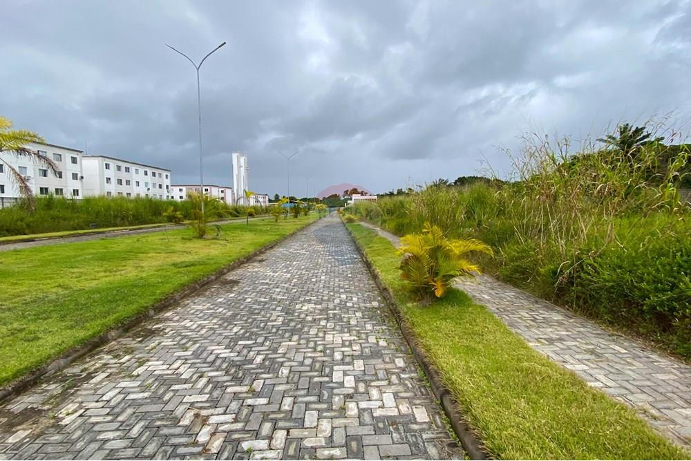 Terreno - Venda - Camaçari , Bahia - IMG_8334_jpg.jpg - 580421085-14