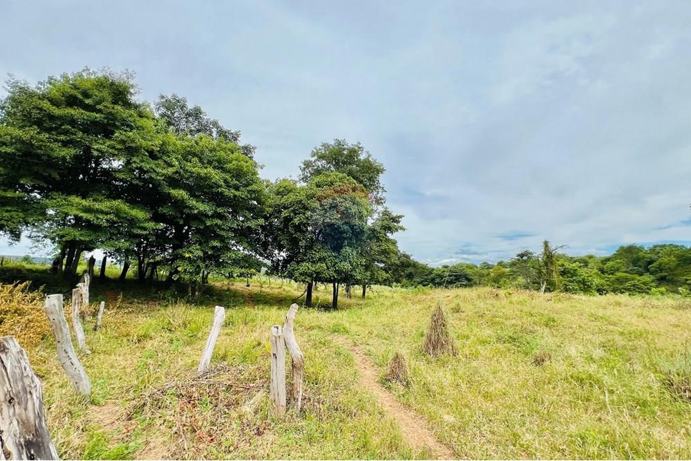 Chácara / Sítio / Fazenda - Venda - Barreiras , Bahia - WhatsApp Image 2025-03-11 at 17.53.49.jpeg - 580651065-24