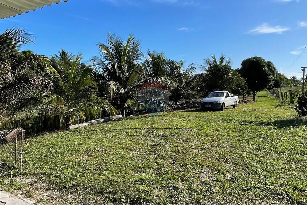 Chácara / Sítio / Fazenda - Venda - Alcobaça , Bahia - 3.jpg - 580631014-62