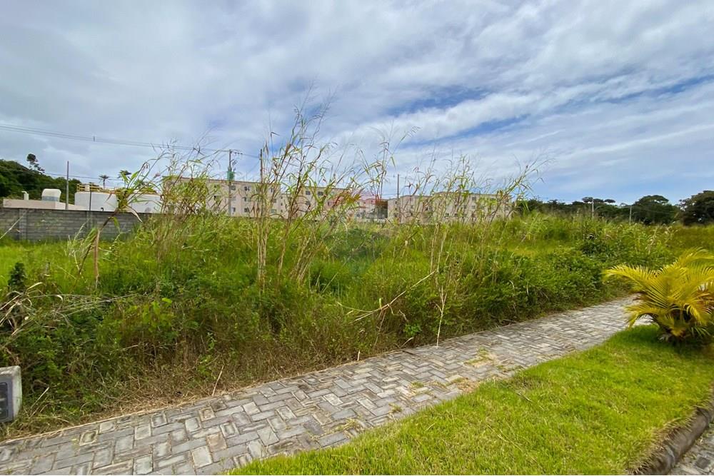Terreno - Venda - Camaçari , Bahia - IMG_8328_jpg.jpg - 580421085-14