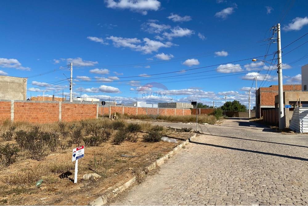 Terreno - Venda - Irecê , Bahia - IMG-20250625-WA0495.jpg - 580841019-6