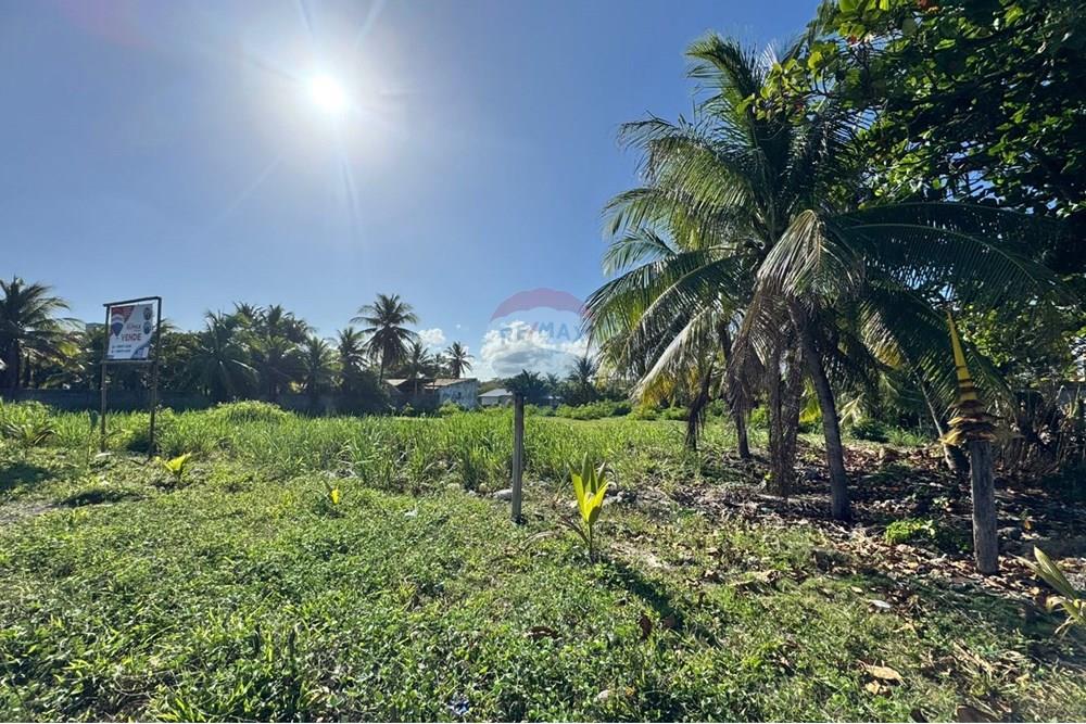 Terreno - Venda - Camaçari , Bahia - WhatsApp Image 2024-12-05 at 16.08.45.jpeg - 580781002-15