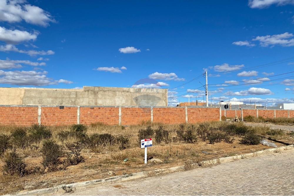 Terreno - Venda - Irecê , Bahia - IMG-20250625-WA0496.jpg - 580841019-6