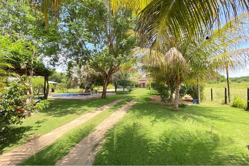 Chácara / Sítio / Fazenda - Venda - Barreiras , Bahia - WhatsApp Image 2025-01-08 at 15.00.53.jpeg - 580651020-100