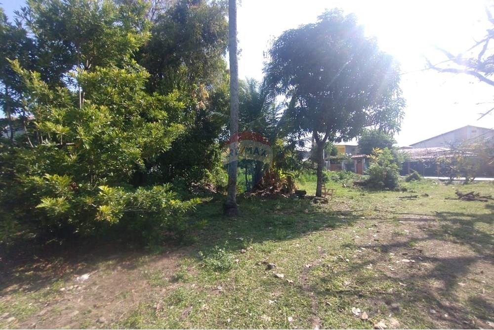 Terreno - Venda - Vera Cruz , Bahia - WhatsApp Image 2024-11-23 at 06.42.38.jpeg - 580401026-39