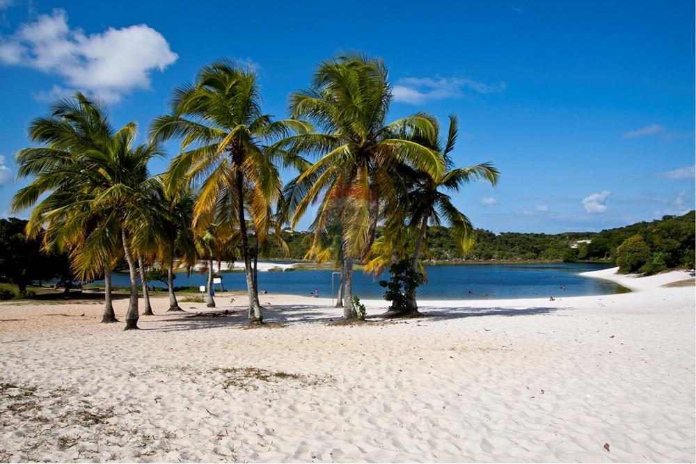 Apartamento - Venda - Salvador , Bahia - Coqueiros_no_Abaeté.jpg - 580421036-48