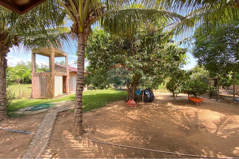 Chácara / Sítio / Fazenda - Venda - Barreiras , Bahia - WhatsApp Image 2025-01-08 at 15.01.49.jpeg - 580651020-100