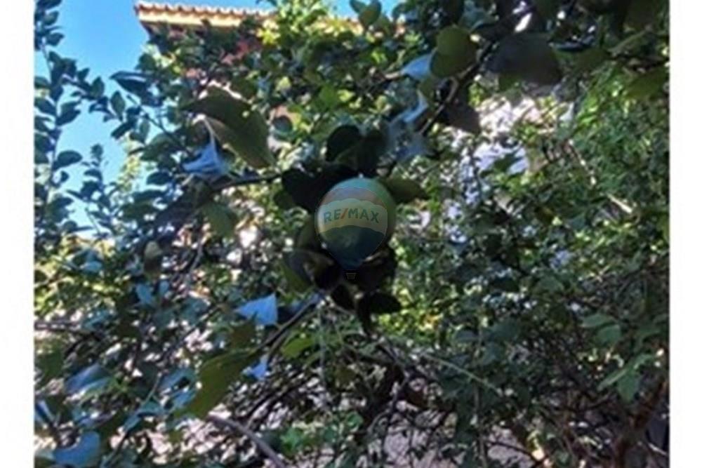 Casa de Campo - Venda - Camaçari , Bahia - 0465c0e8-8cac-46d9-8054-b77519fa39ee.jpg - 580541053-7