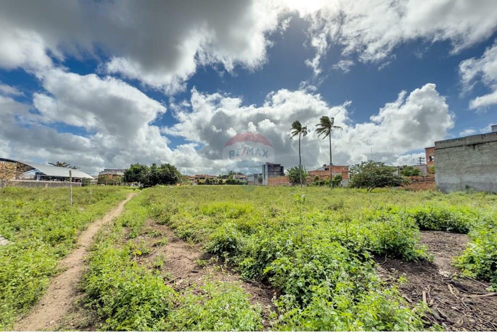 Terreno - Venda - Santo Antônio de Jesus , Bahia - WhatsApp Image 2025-08-09 at 07.29.42 (1).jpeg - 580341012-144