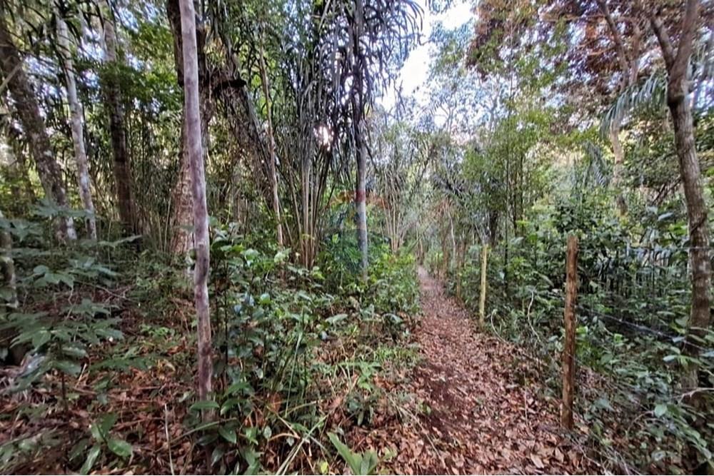 Terreno - Venda - Mata de São João , Bahia - Foto de Carla Valadares(1).jpg - 580541057-5