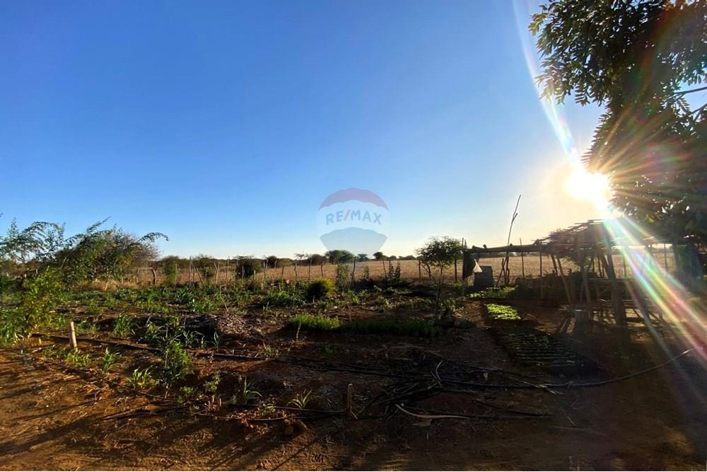 Terreno - Venda - Irecê , Bahia - 871c6ed2-0a34-4fc8-a672-613cf5ae4015.jpeg - 580841008-85