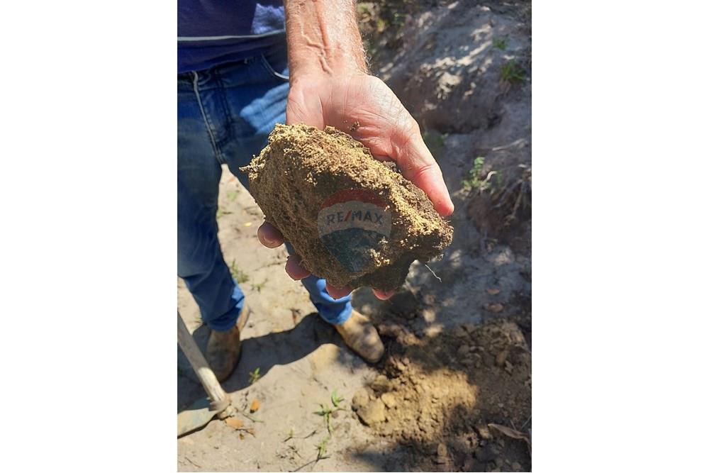 Chácara / Sítio / Fazenda - Venda - Caravelas , Bahia - WhatsApp Image 2025-07-11 at 09.20.08 (3).jpeg - 580411006-269