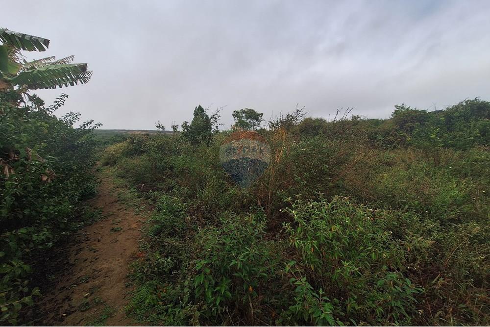 Terreno - Venda - Vitória da Conquista , Bahia - WhatsApp Image 2025-06-04 at 15.53.48 (1).jpeg - 580831002-94