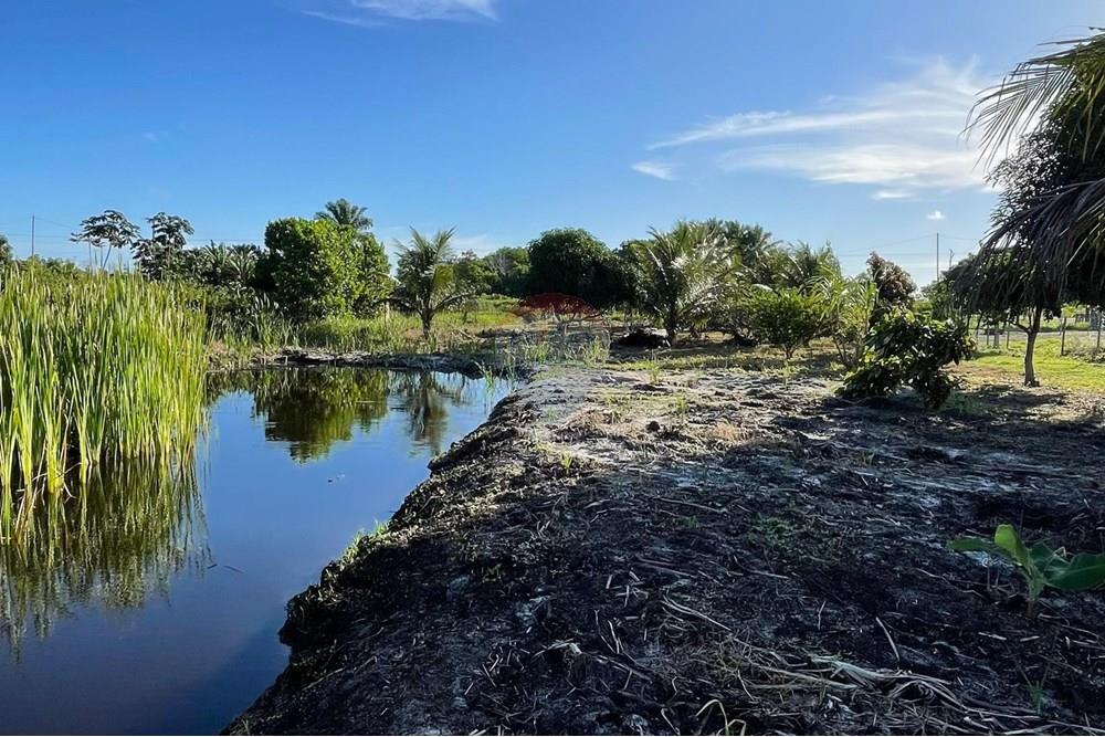 Chácara / Sítio / Fazenda - Venda - Alcobaça , Bahia - 15.jpg - 580631014-62