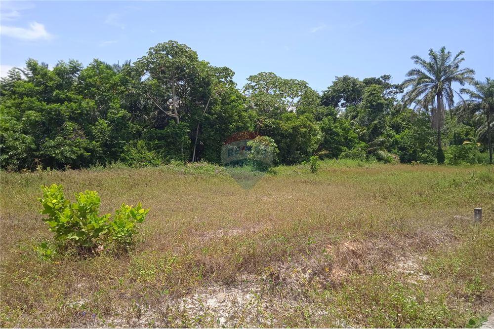 Terreno - Venda - Vera Cruz , Bahia - 13 - 580551004-123