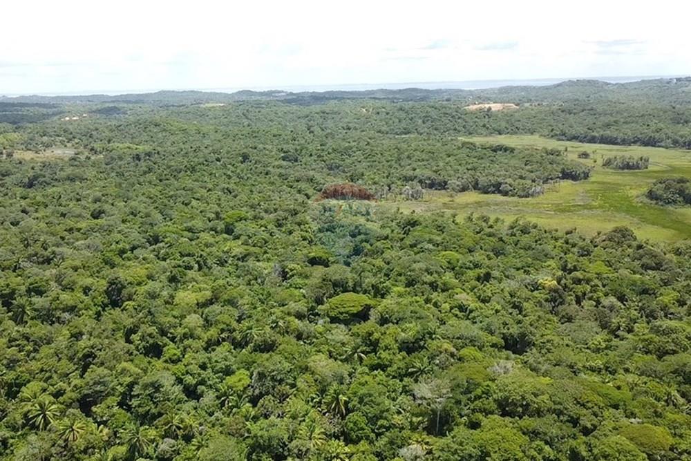 Terreno - Venda - Vera Cruz , Bahia - dji_fly_20250215_105657_0_1739627817502_photo_low_quality.jpg - 580401002-406