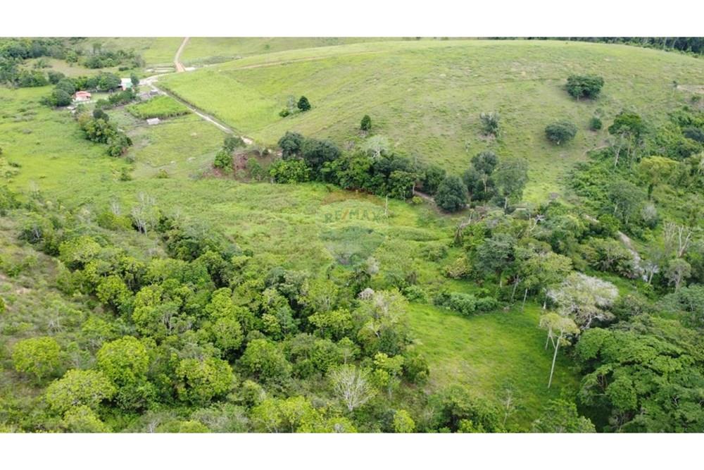 Chácara / Sítio / Fazenda - Venda - Itamaraju , Bahia - WhatsApp Image 2025-02-23 at 10.01.53 (3).jpeg - 580751001-262