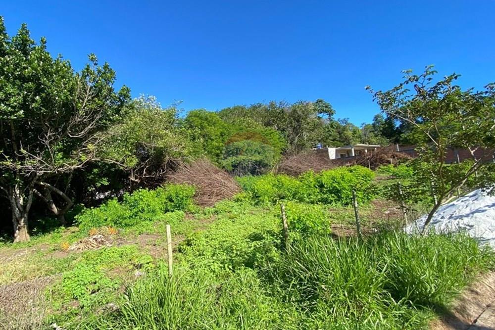 Terreno - Venda - Mata de São João , Bahia - ae0ec568-3ad1-4d62-b379-0e598a9e3cc8.jpg - 580601014-64