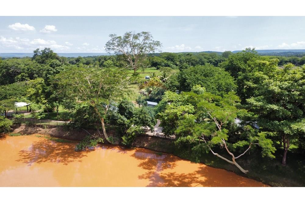 Chácara / Sítio / Fazenda - Venda - Barreiras , Bahia - WhatsApp Image 2025-01-08 at 15.09.36 (2).jpeg - 580651020-100