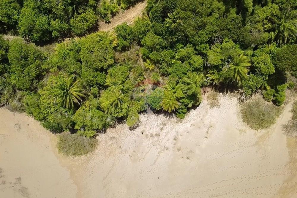 Terreno - Venda - Vera Cruz , Bahia - dji_fly_20250215_105556_0_1739627756314_photo_low_quality.jpg - 580401002-406