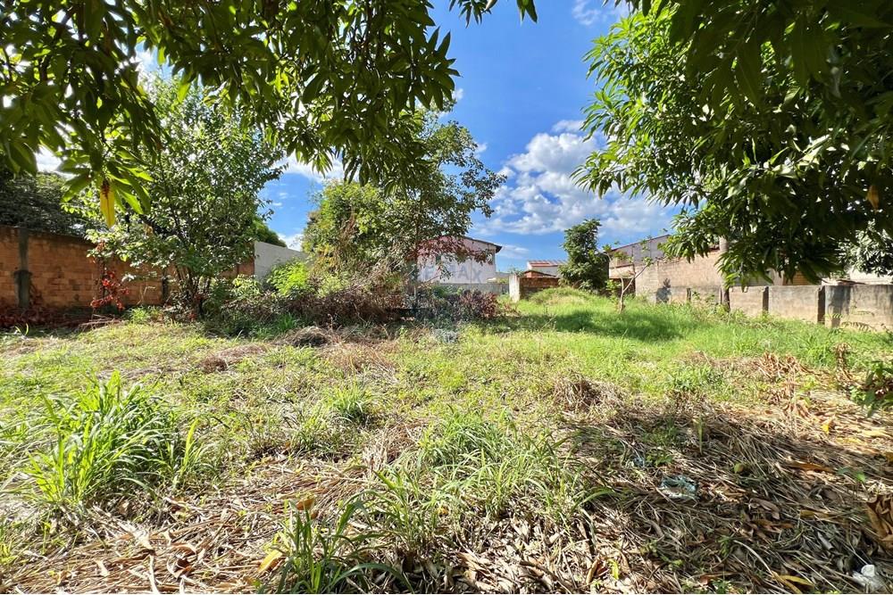 Terreno - Venda - Barreiras , Bahia - WhatsApp Image 2025-04-14 at 15.58.57.jpeg - 580651041-77