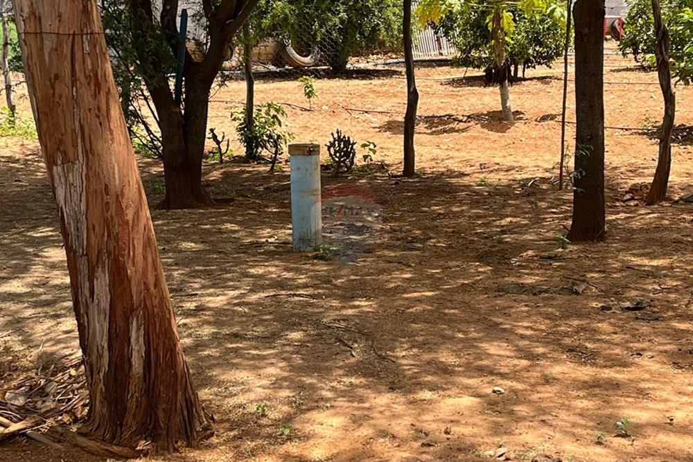 Chácara / Sítio / Fazenda - Venda - Irecê , Bahia - Poço.jpeg - 580841006-7