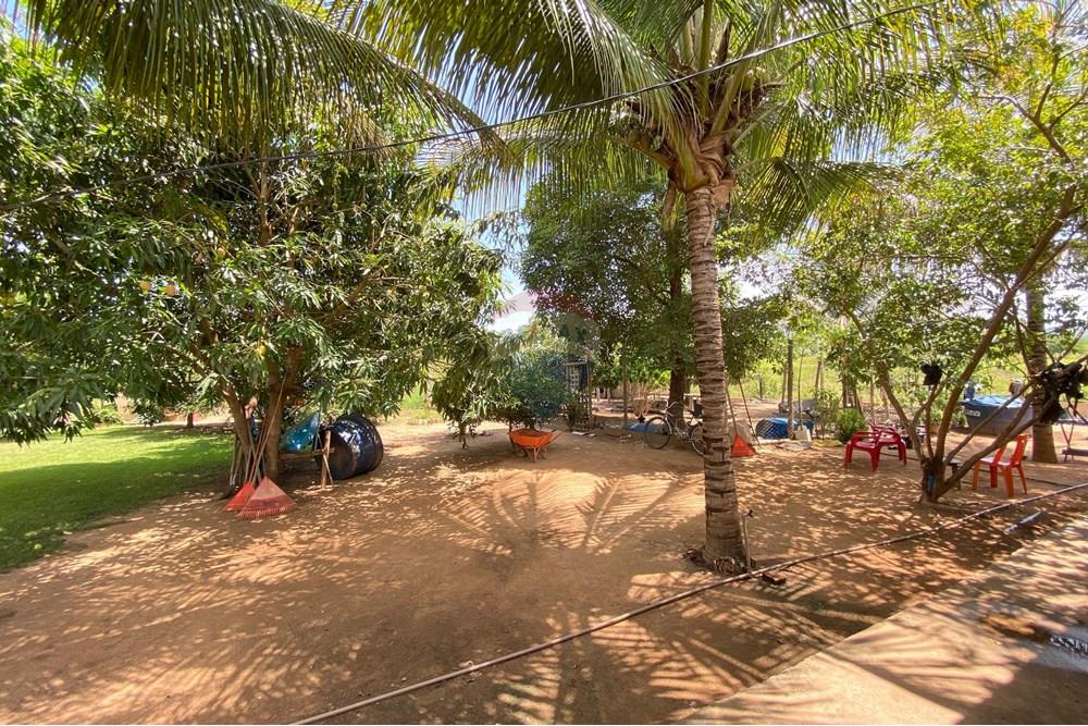 Chácara / Sítio / Fazenda - Venda - Barreiras , Bahia - WhatsApp Image 2025-01-08 at 15.01.53.jpeg - 580651020-100