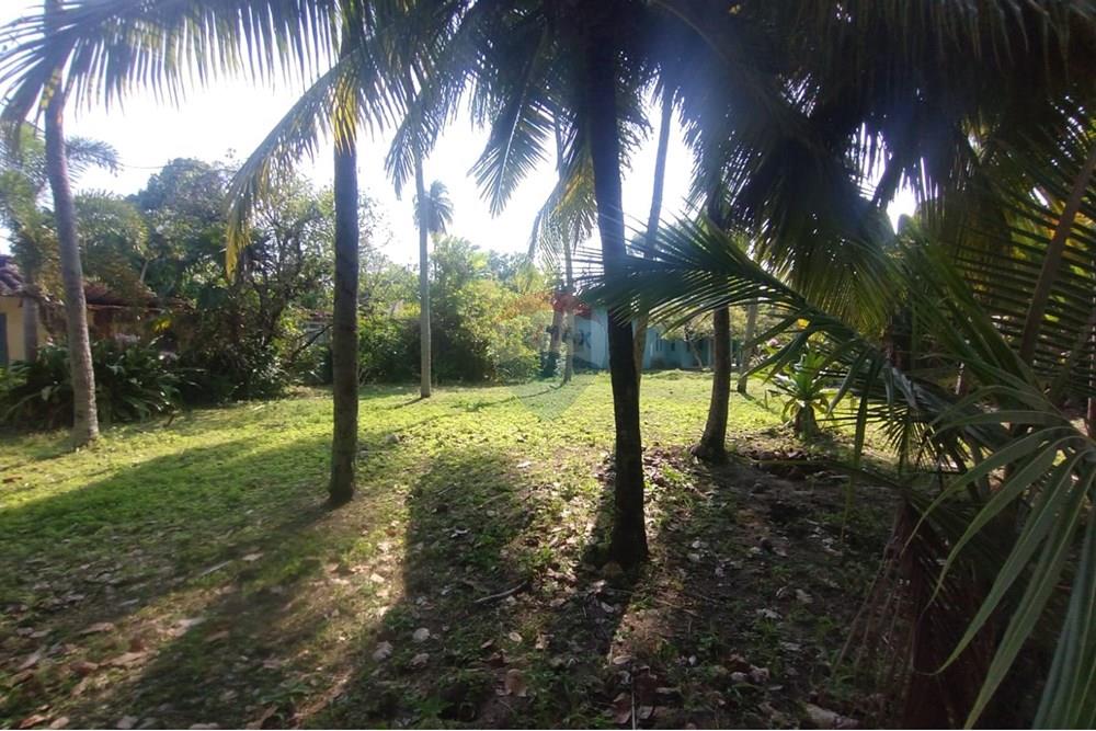 Terreno - Venda - Vera Cruz , Bahia - WhatsApp Image 2024-11-23 at 06.42.41 (2).jpeg - 580401026-39
