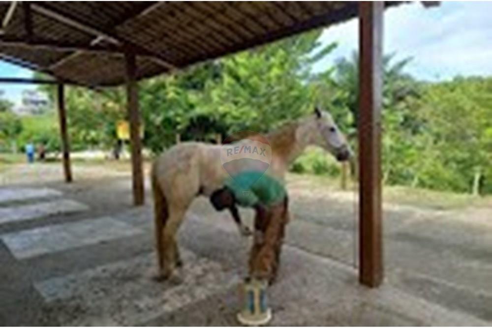 Terreno - Venda - Simões Filho , Bahia - IMG_8273.jpeg - 580721048-2