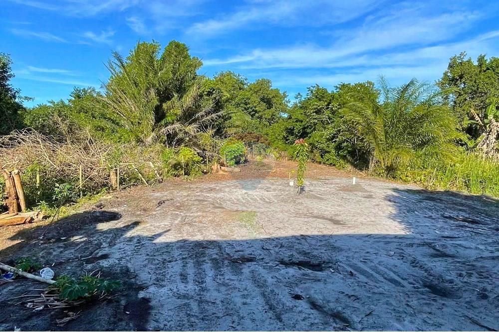 Chácara / Sítio / Fazenda - Venda - Alcobaça , Bahia - 6.jpg - 580631014-62