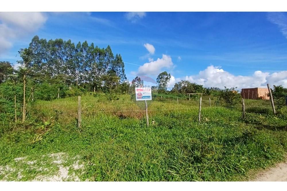Terreno - Venda - Alagoinhas , Bahia - 551c663d-af1f-48a8-938f-52ceac4d169a.jpeg - 580701047-26