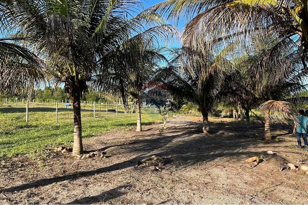 Chácara / Sítio / Fazenda - Venda - Alcobaça , Bahia - 17.jpg - 580631014-62