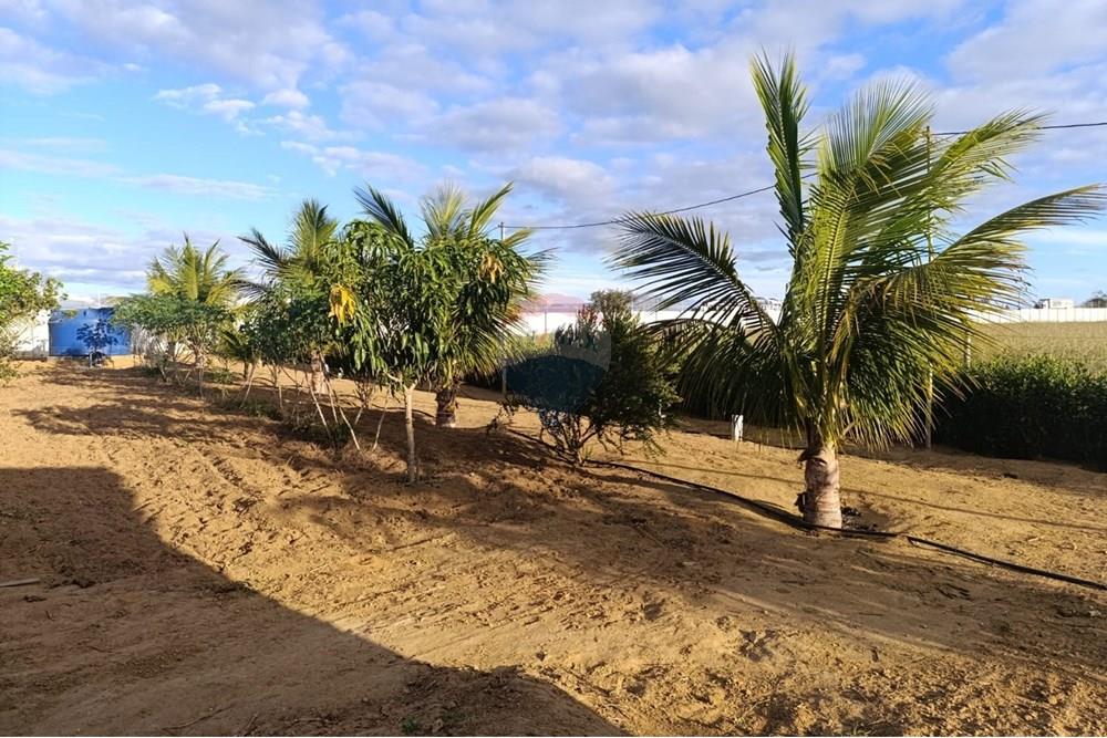 Studio - Venda - Vitória da Conquista , Bahia - F18.jpg - 580831002-163