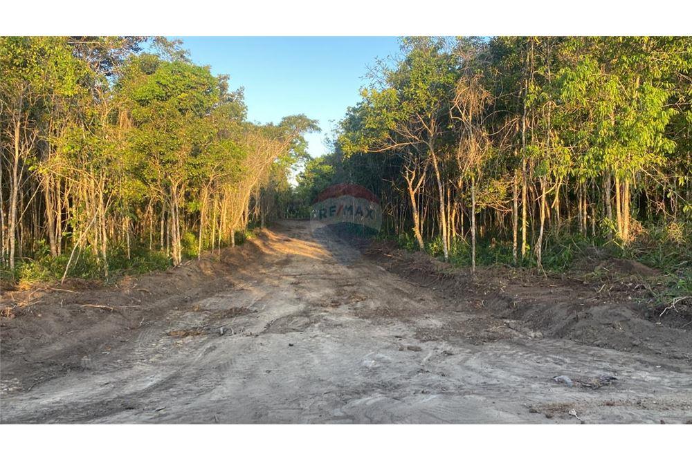 Terreno - Venda - Porto Seguro , Bahia - 7 - 580581034-23