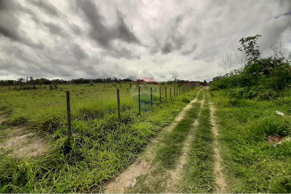 Terreno - Venda - Aramari , Bahia - WhatsApp Image 2025-06-27 at 16.57.29.jpeg - 580701044-27