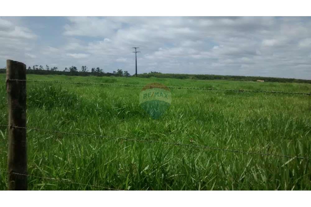 Chácara / Sítio / Fazenda - Venda - Teixeira de Freitas , Bahia - WhatsApp Image 2024-05-13 at 16.09.15 (2).jpeg - 580411003-292