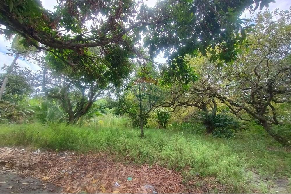 Terreno - Venda - Camaçari , Bahia - WhatsApp Image 2025-10-28 at 14.54.22 (1).jpeg - 580561046-234