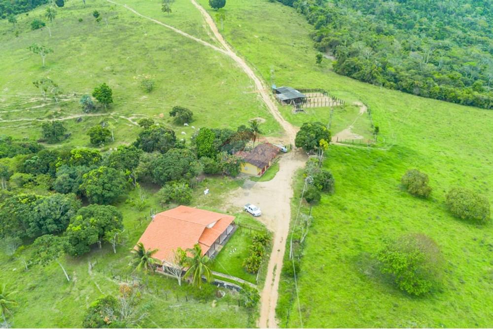 Chácara / Sítio / Fazenda - Venda - Ubaíra , Bahia - WhatsApp Image 2024-12-17 at 14.37.18 (2).jpeg - 580341012-76