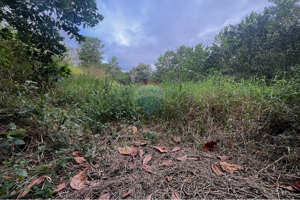 Chácara / Sítio / Fazenda - Venda - Prado , Bahia - Imagem do WhatsApp de 2025-08-25 à(s) 11.02.02_f9a97ed6.jpg - 580751013-70